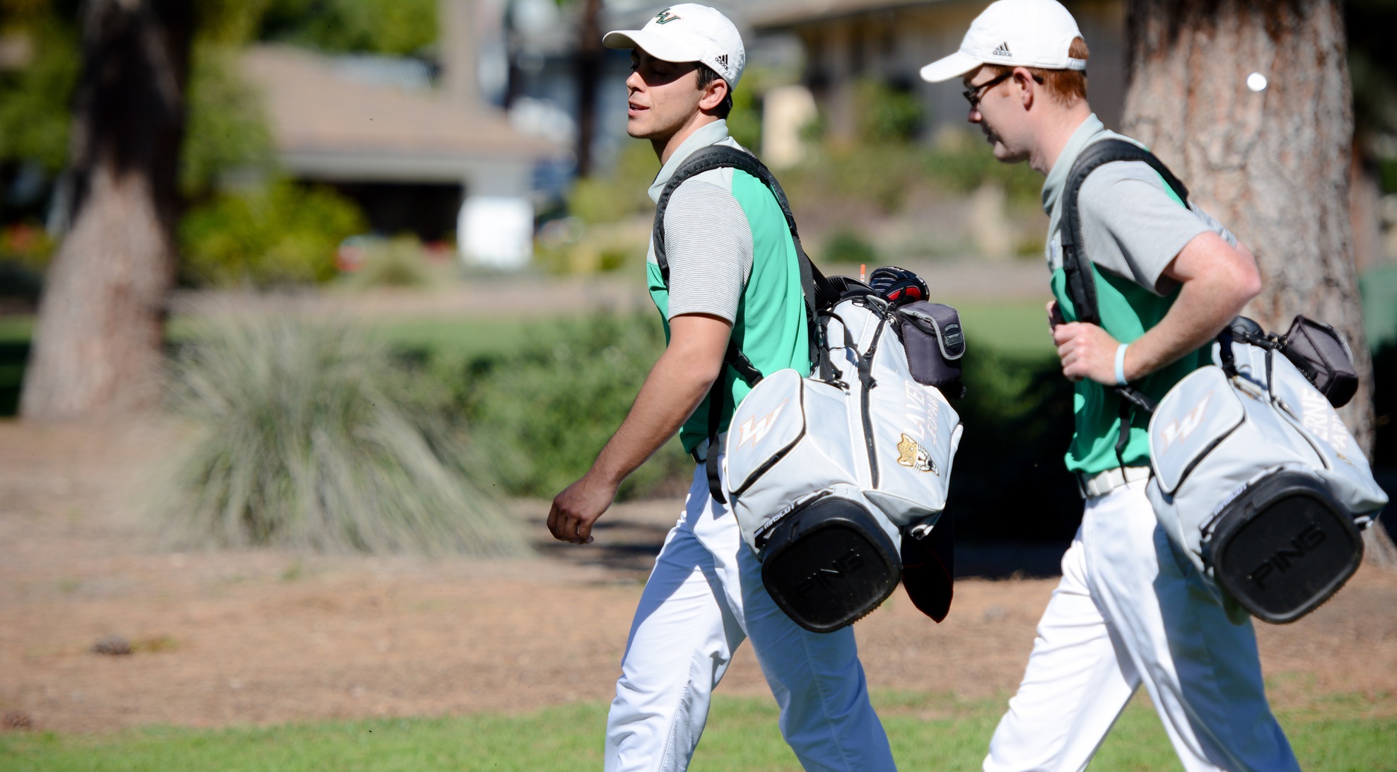 Men's Golf breaks back into national rankings