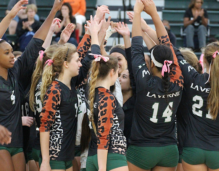 Volleyball cracks into national rankings