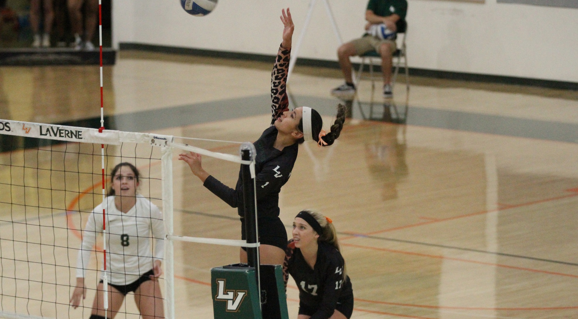 No. 14 Volleyball falls to Austin