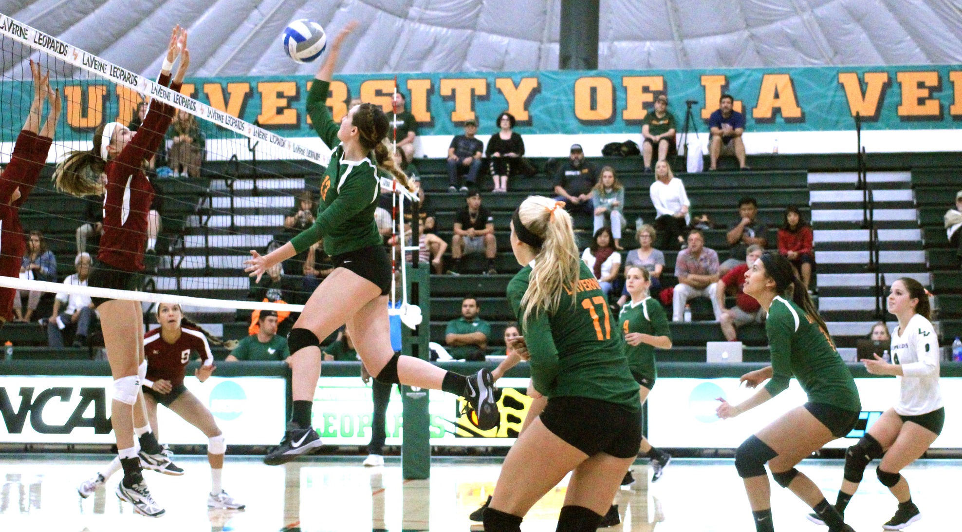 No. 15 Volleyball sweeps Chapman at home