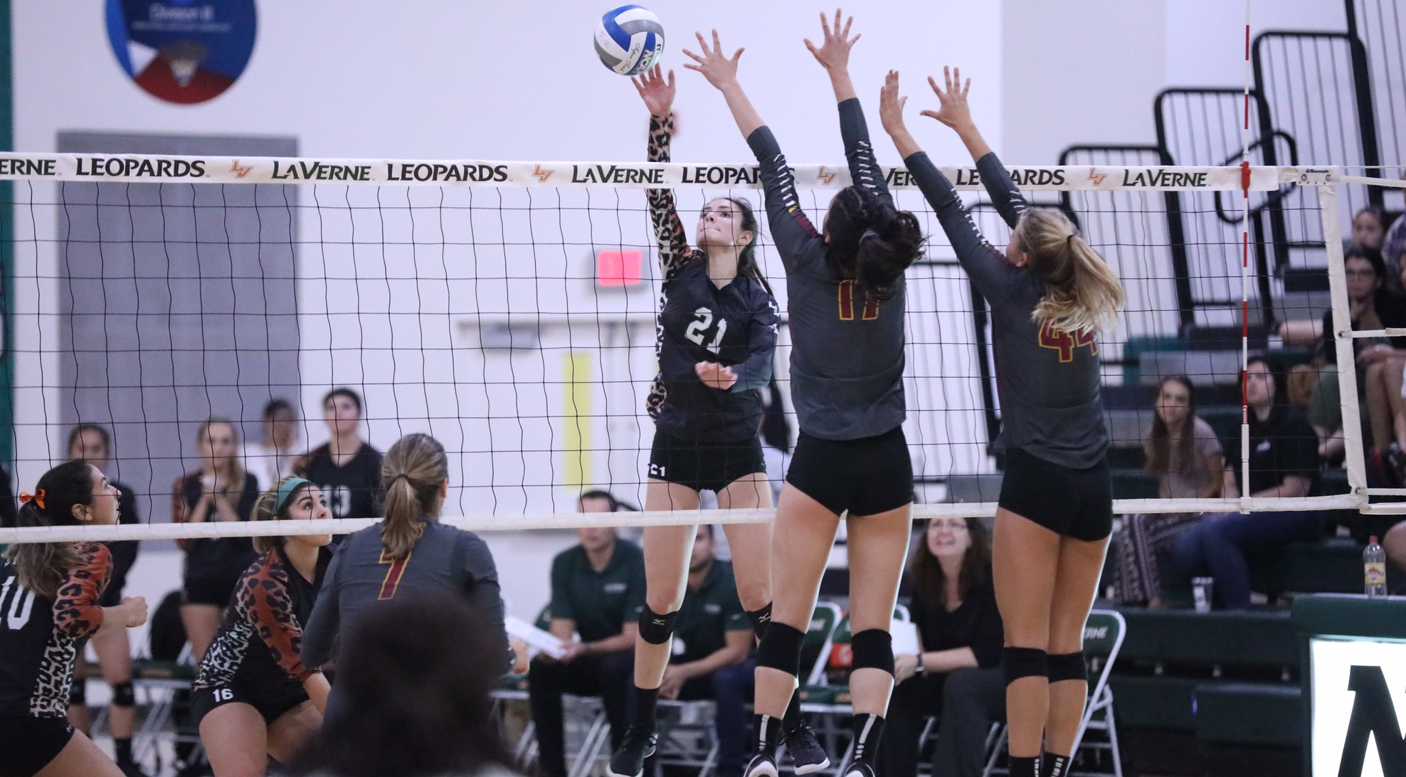 Volleyball falls in five to No. 5 CMS