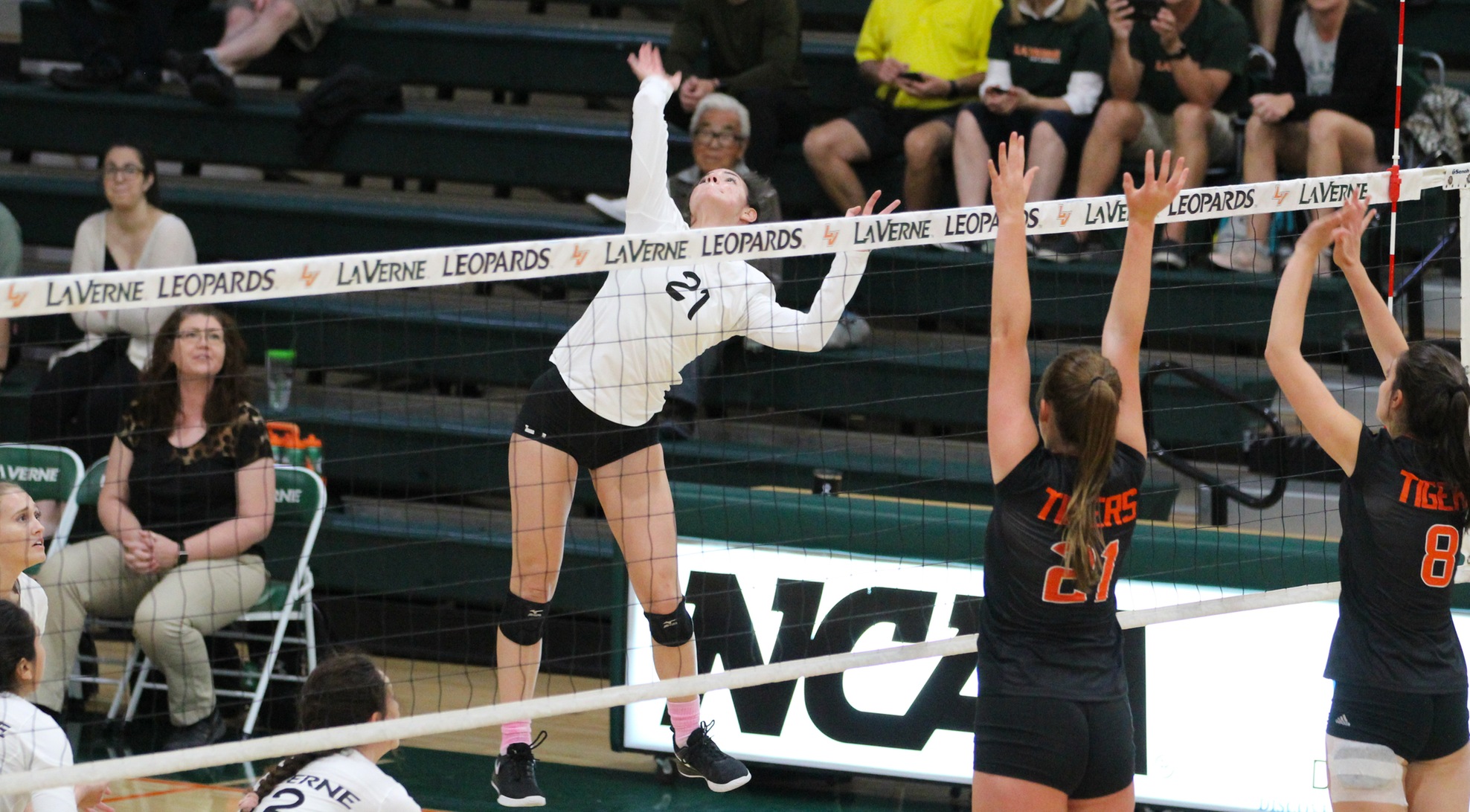 Volleyball sweeps Oxy, stays in hunt for postseason