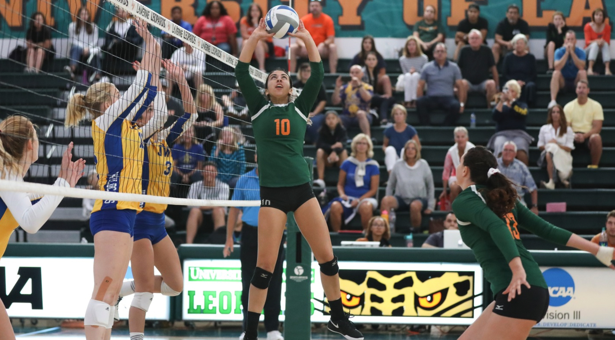 Volleyball ends PCC with win over Diplomats