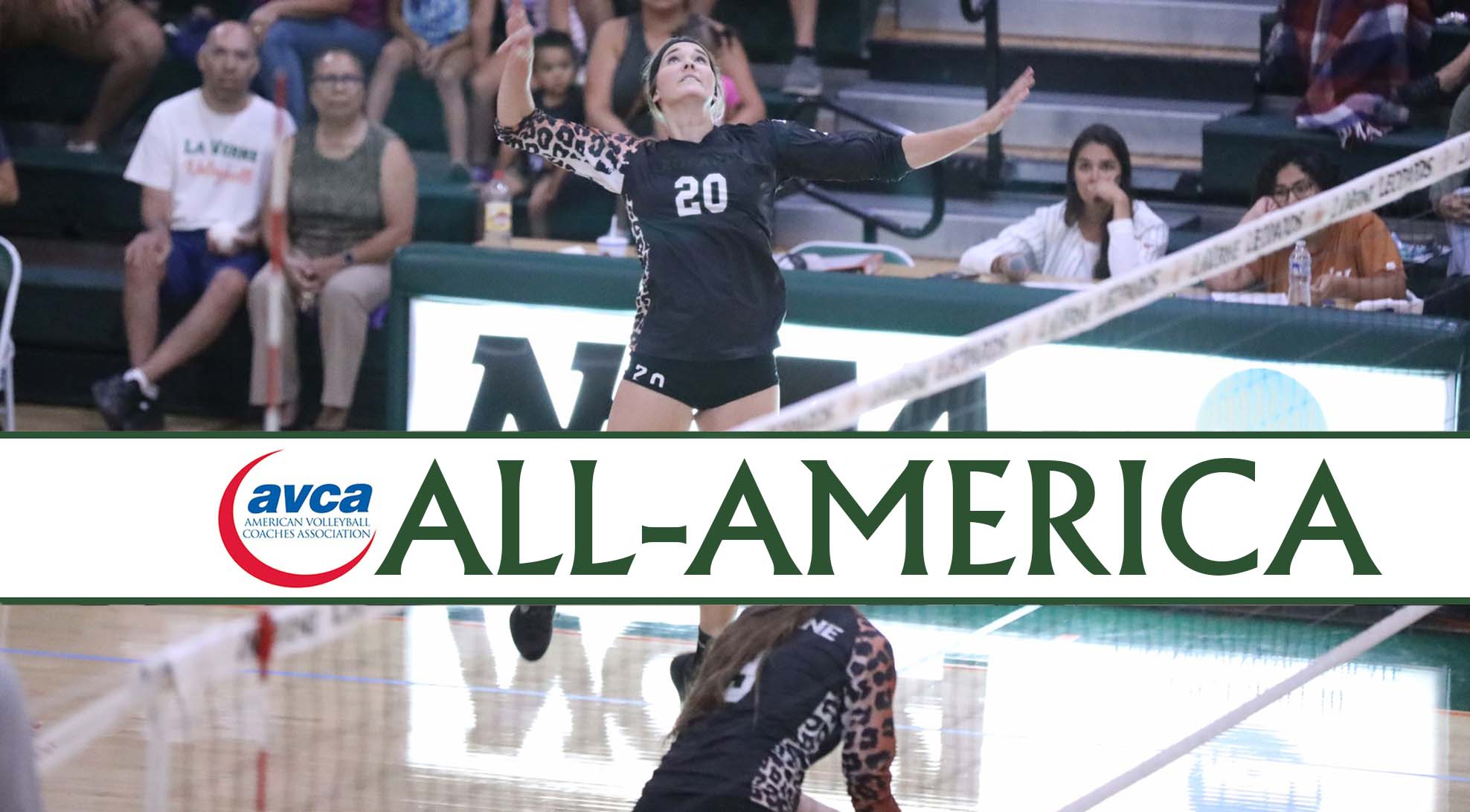 Sievers named All-America Honorable Mention