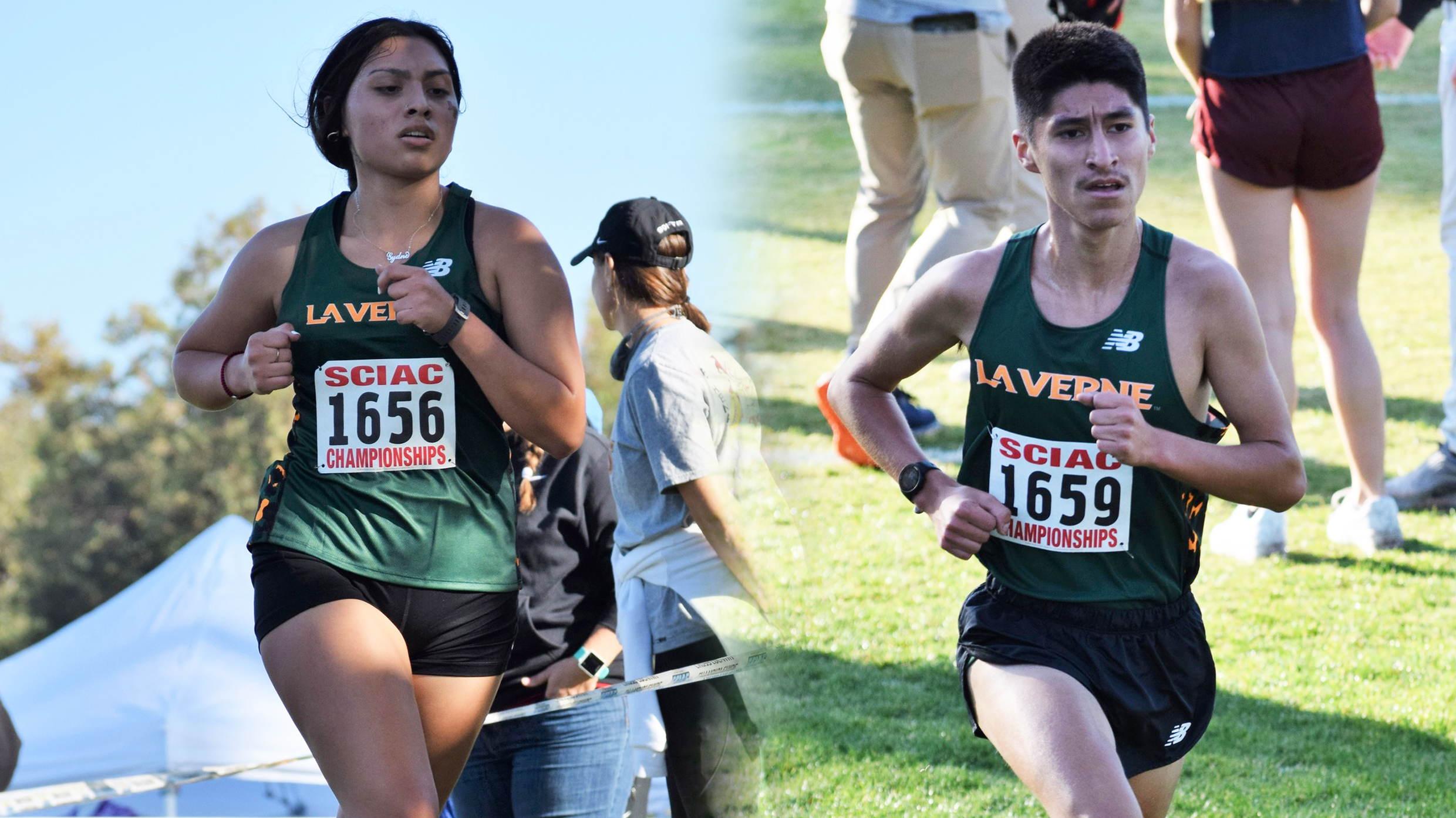 Cross Country Set For West Regionals