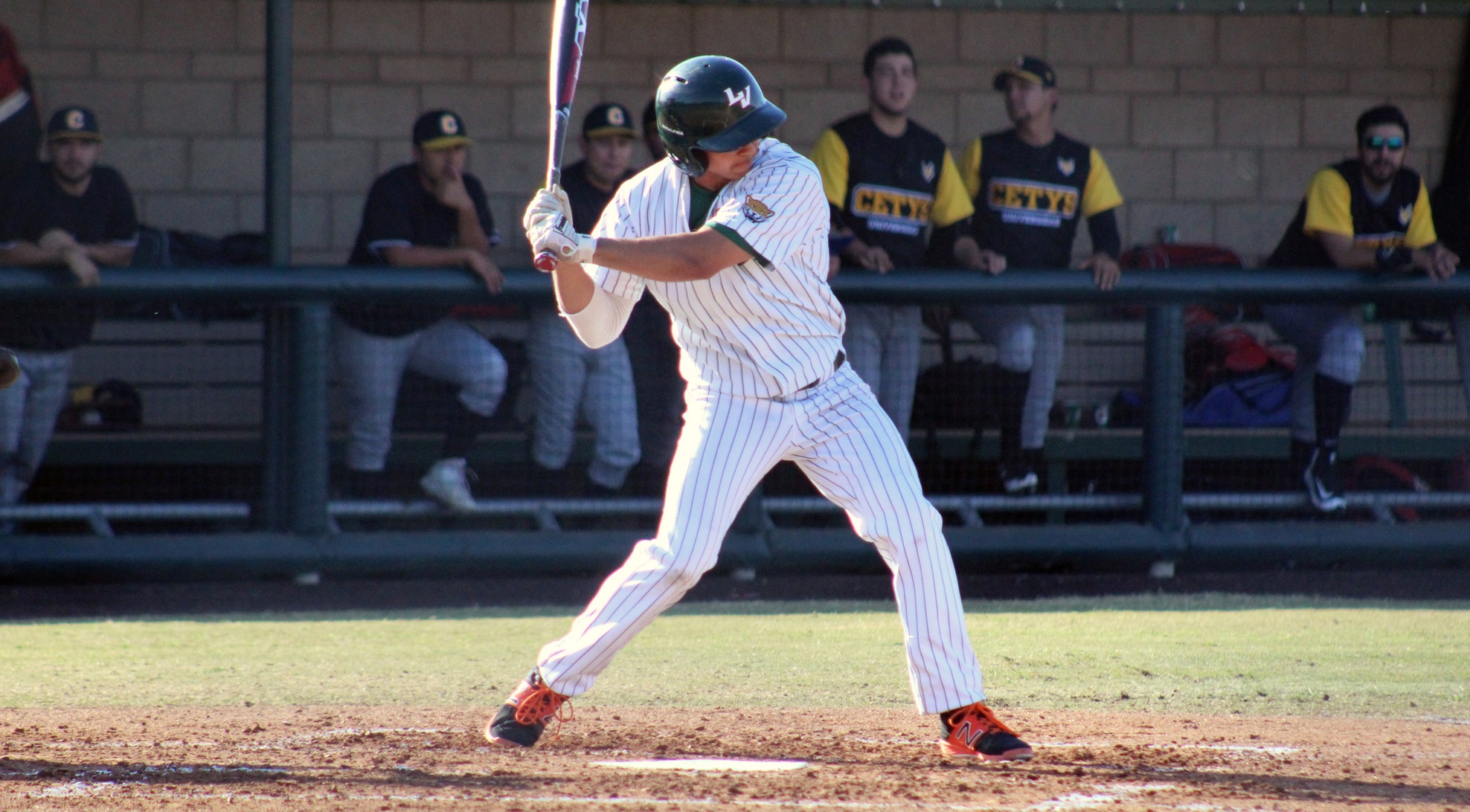 Baseball rolls in win over CETYS