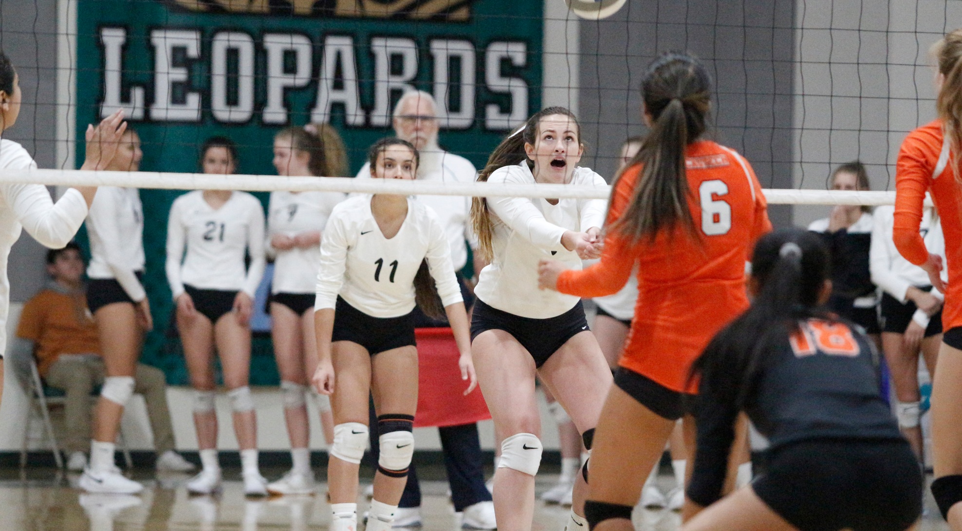 Volleyball Falls in Thriller to Sagehens