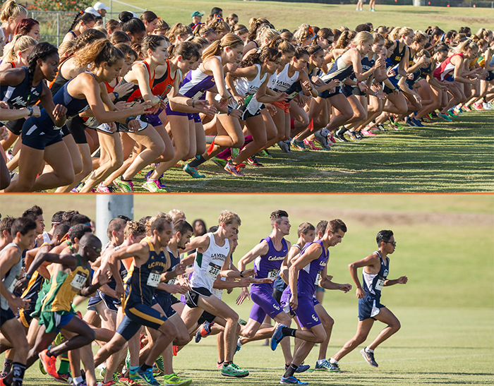 Hayes, Ramirez compete at NCAA Cross Country Championships