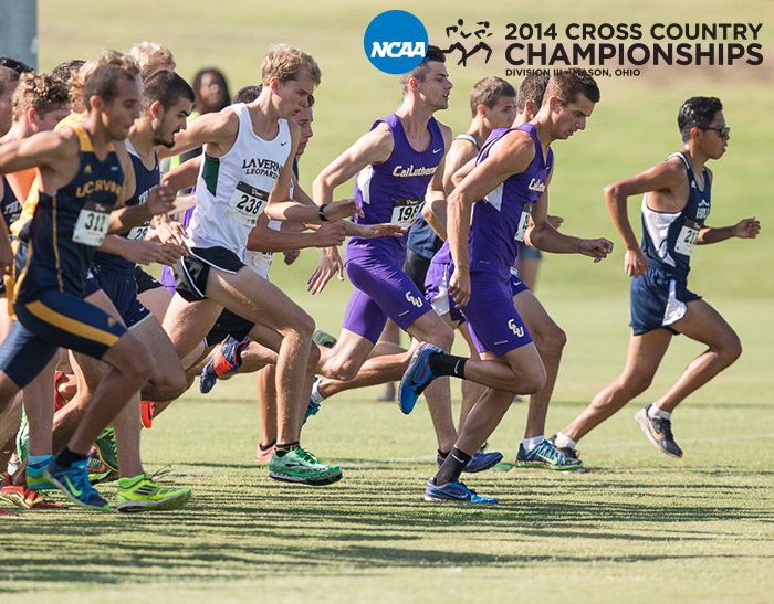 2014 NCAA Cross Country National Championships Preview