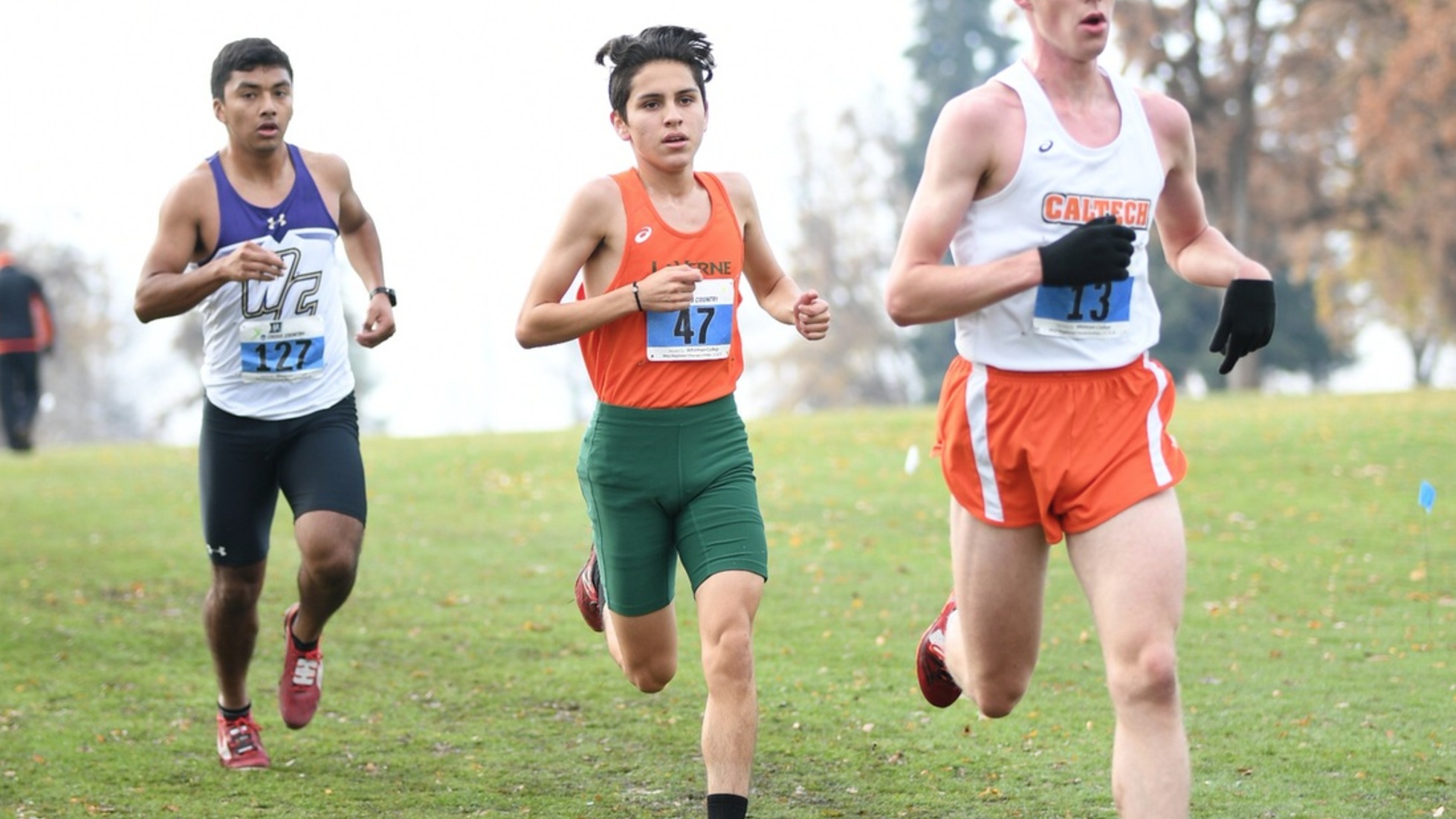 Men's Cross Cross Country Competes at UCR