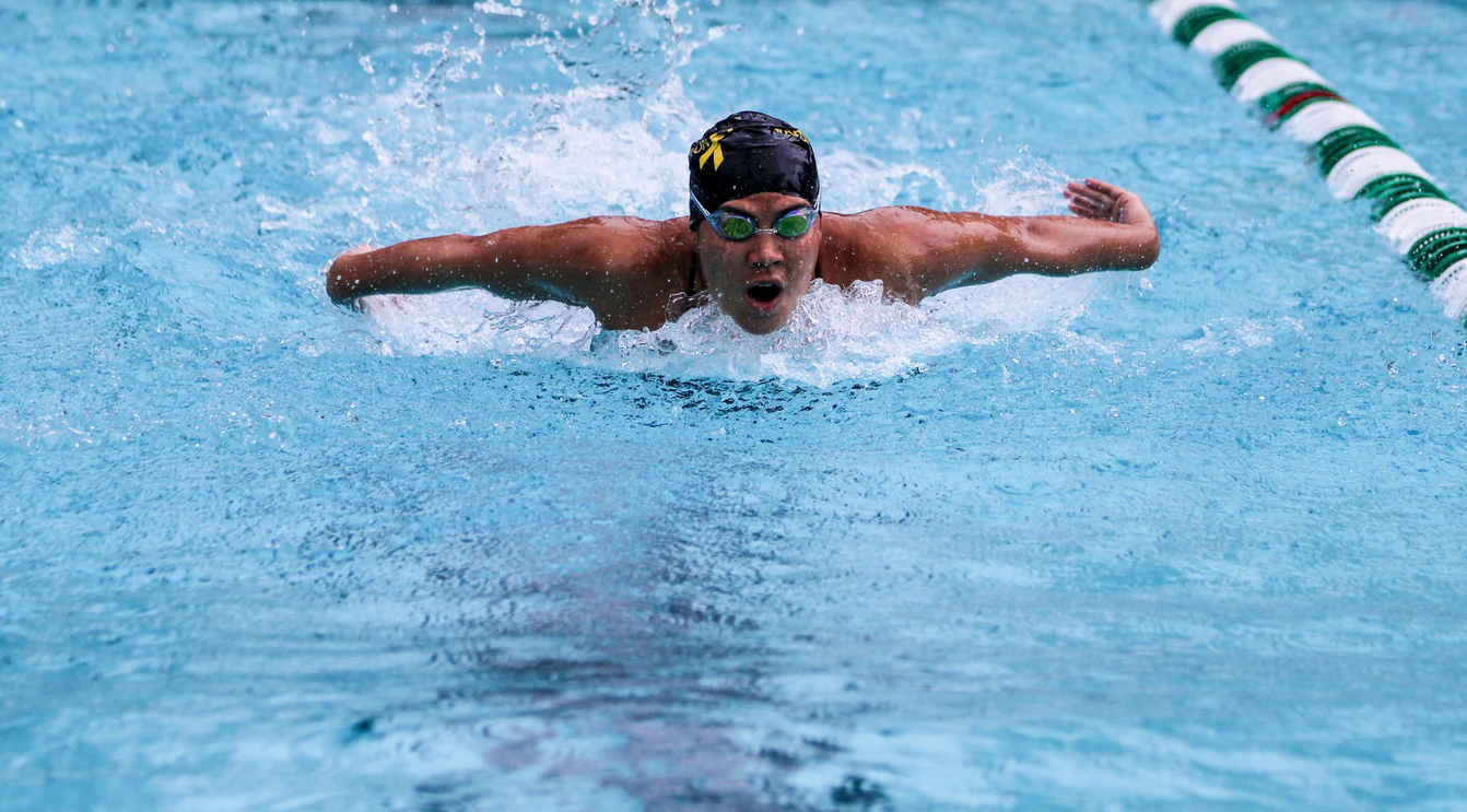 Swim and Dive competes at Axelrod