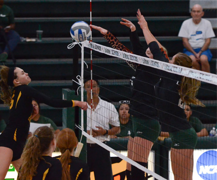 Volleyball Takes No. 18 CMS To Brink, Falls in Five