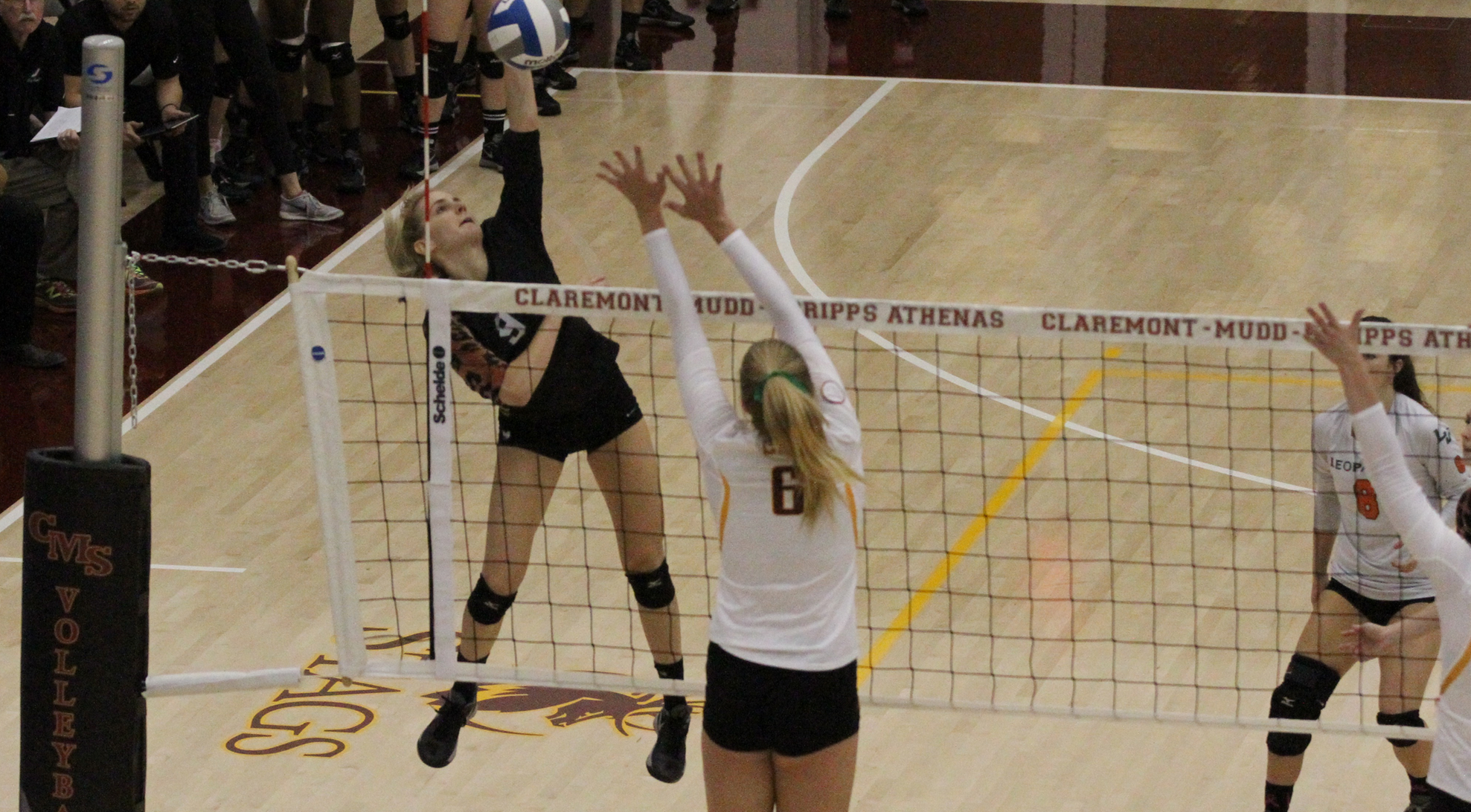 No. 19 Volleyball falls to No. 4 Claremont-Mudd-Scripps, waits for Selection Show