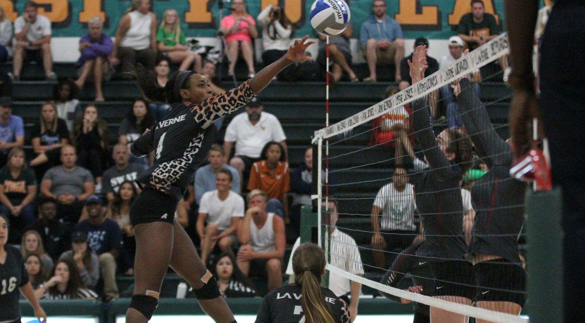 Volleyball bounces back, sweeps Oxy