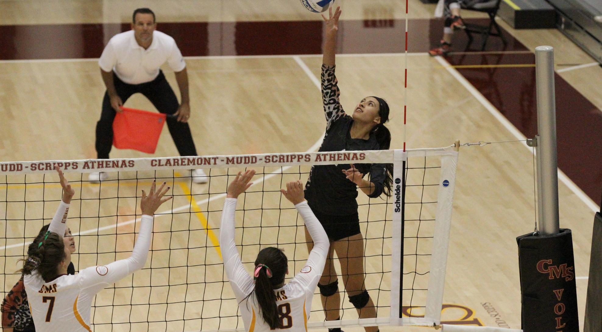 No. 22 Volleyball cruises past Caltech
