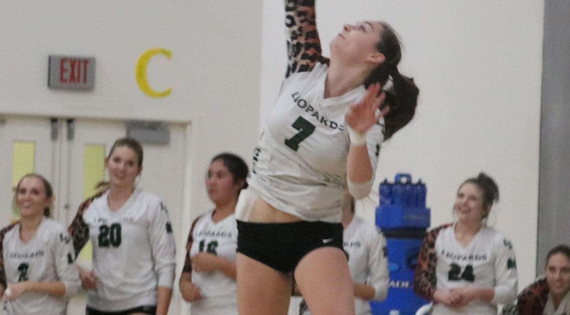 Volleyball sweeps Leopard Invitational