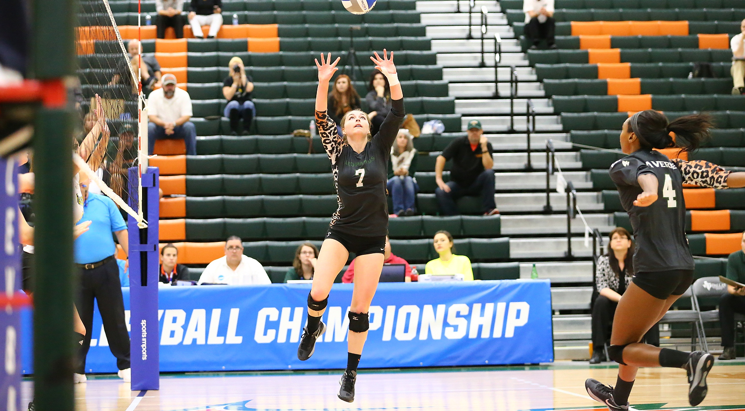 No. 19 Volleyball drops to No. 7 Southwestern in NCAA Championship