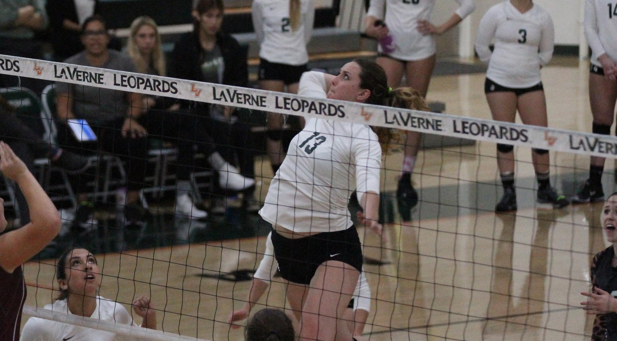 Four Leopards finish with double-digit kills at Chapaman