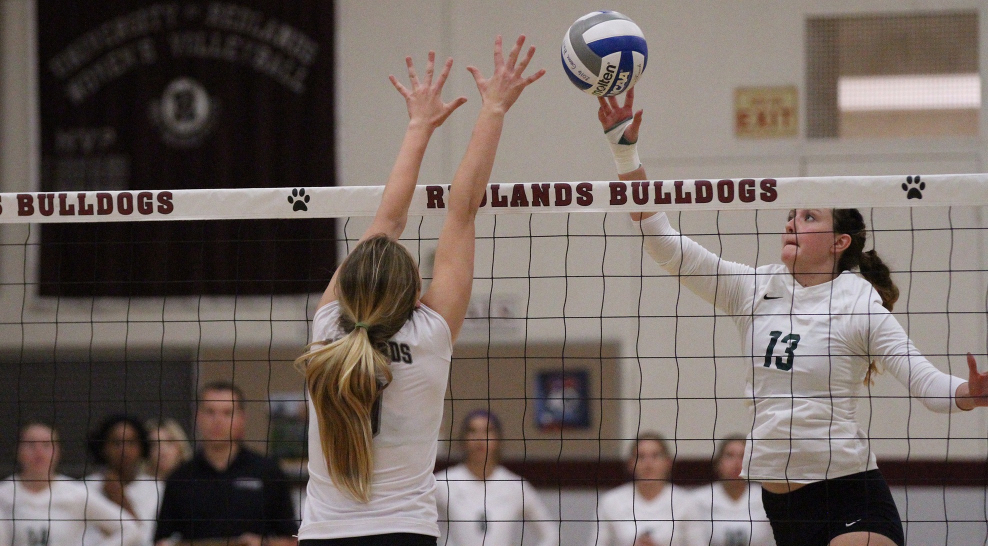 Leopards fall to Poets in five