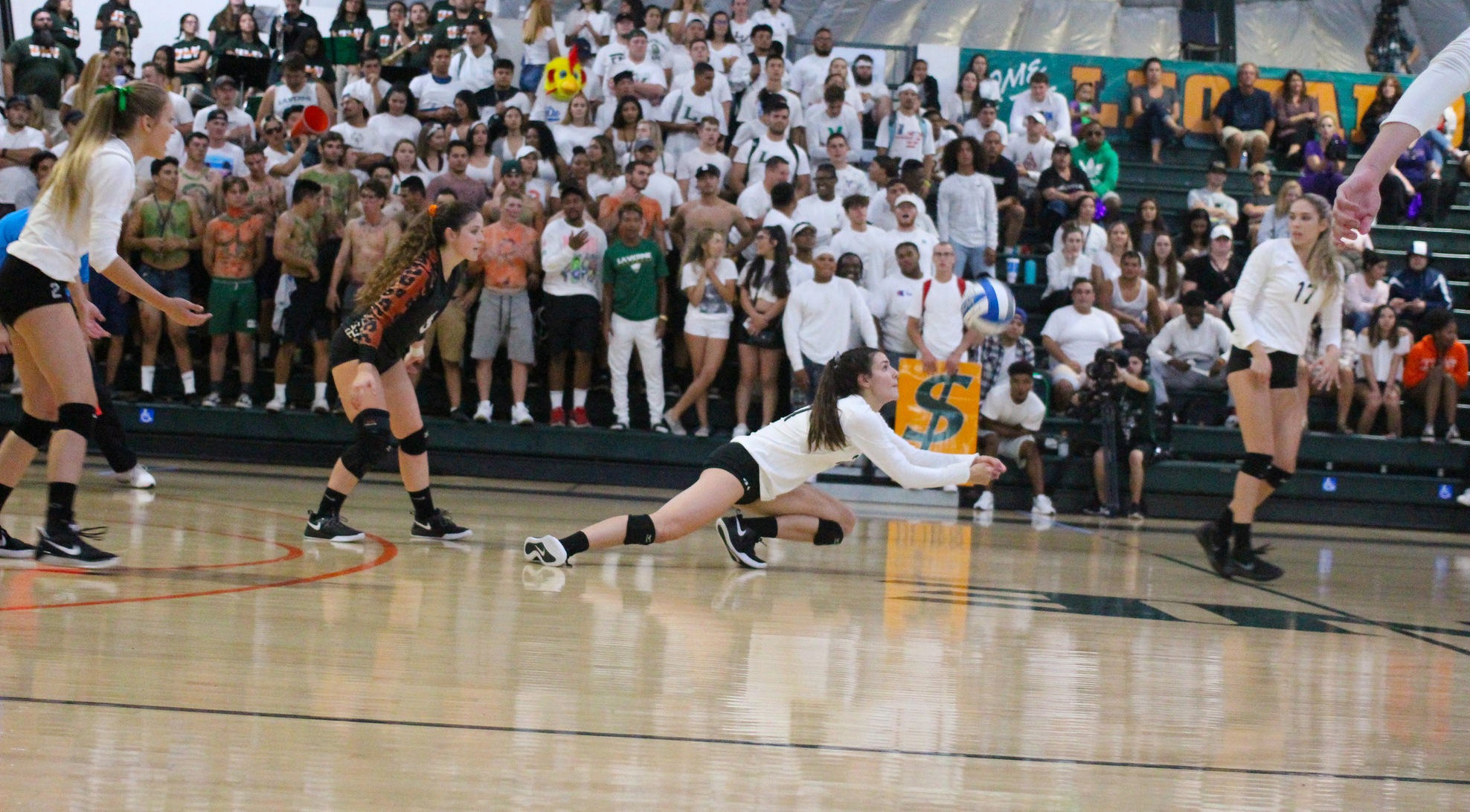 Volleyball rallies but falls in five to Poets