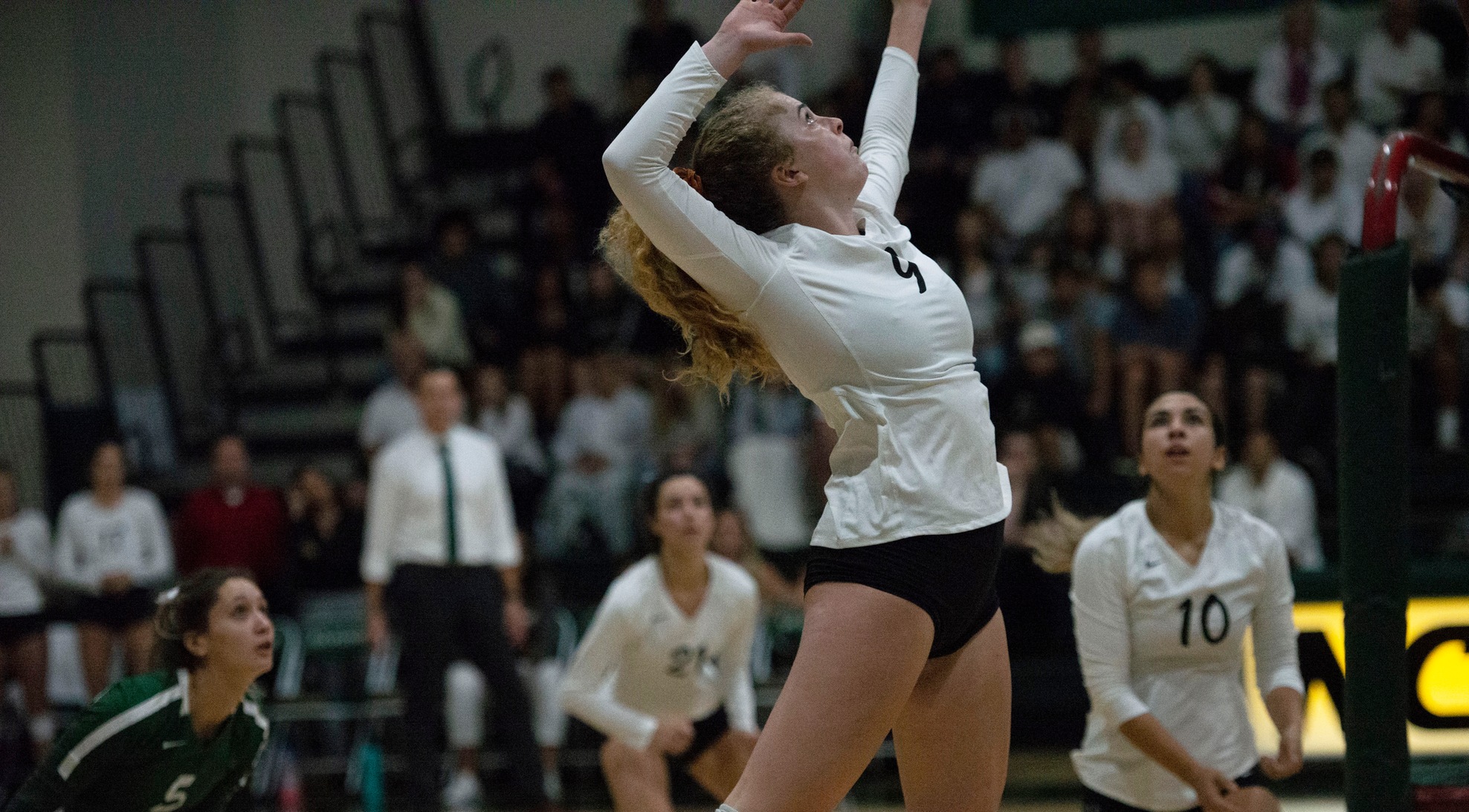 Volleyball Takes Down Cal Lutheran