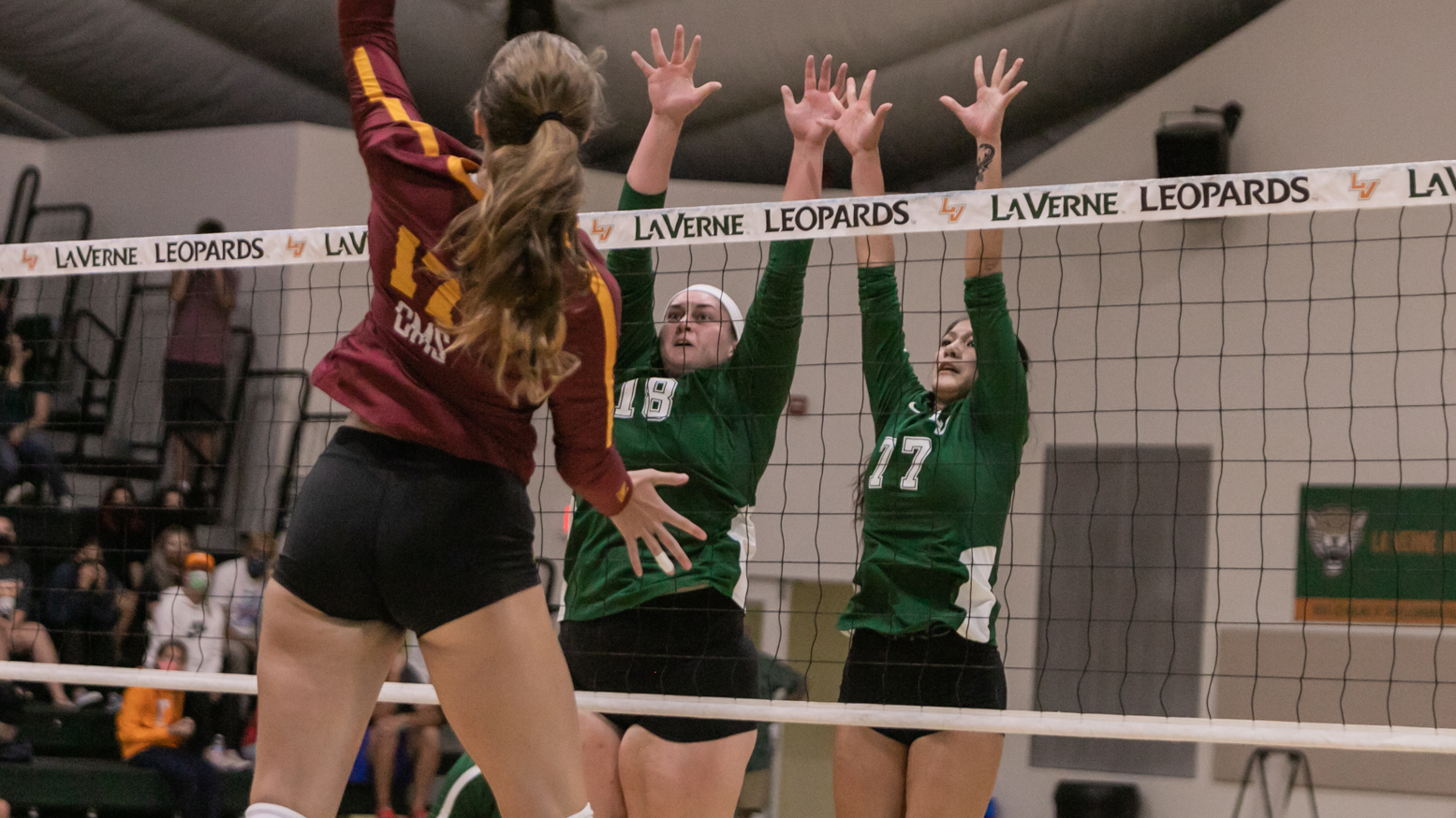 Volleyball Bested by Chapman