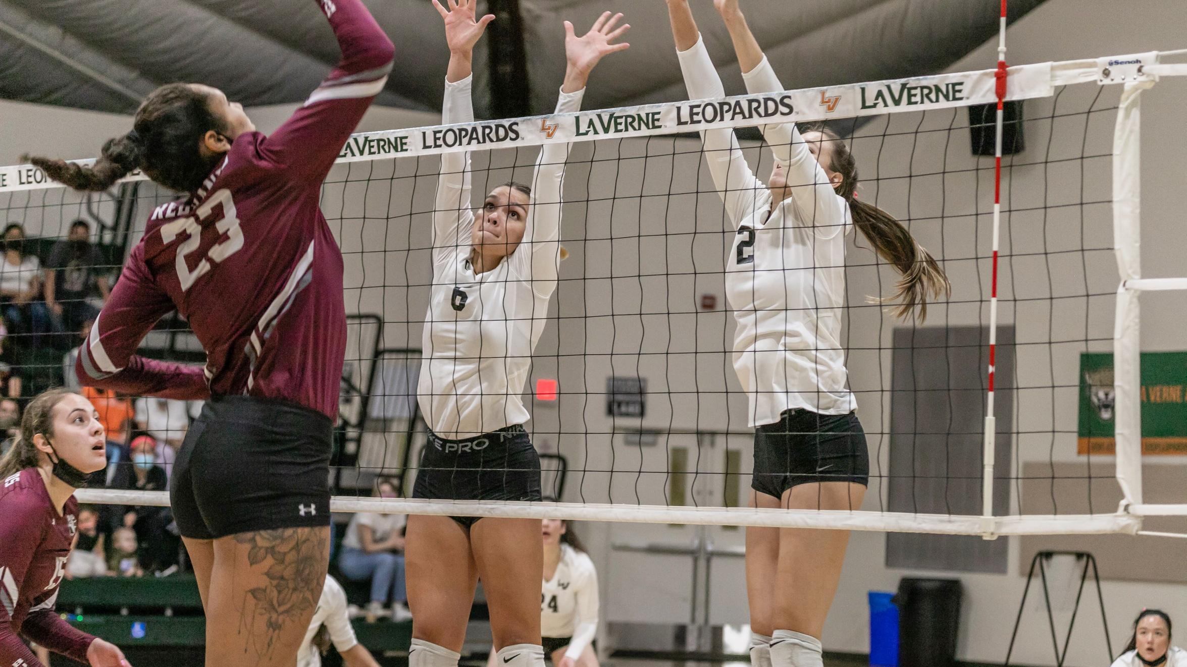 Volleyball Falls to Cal Lutheran