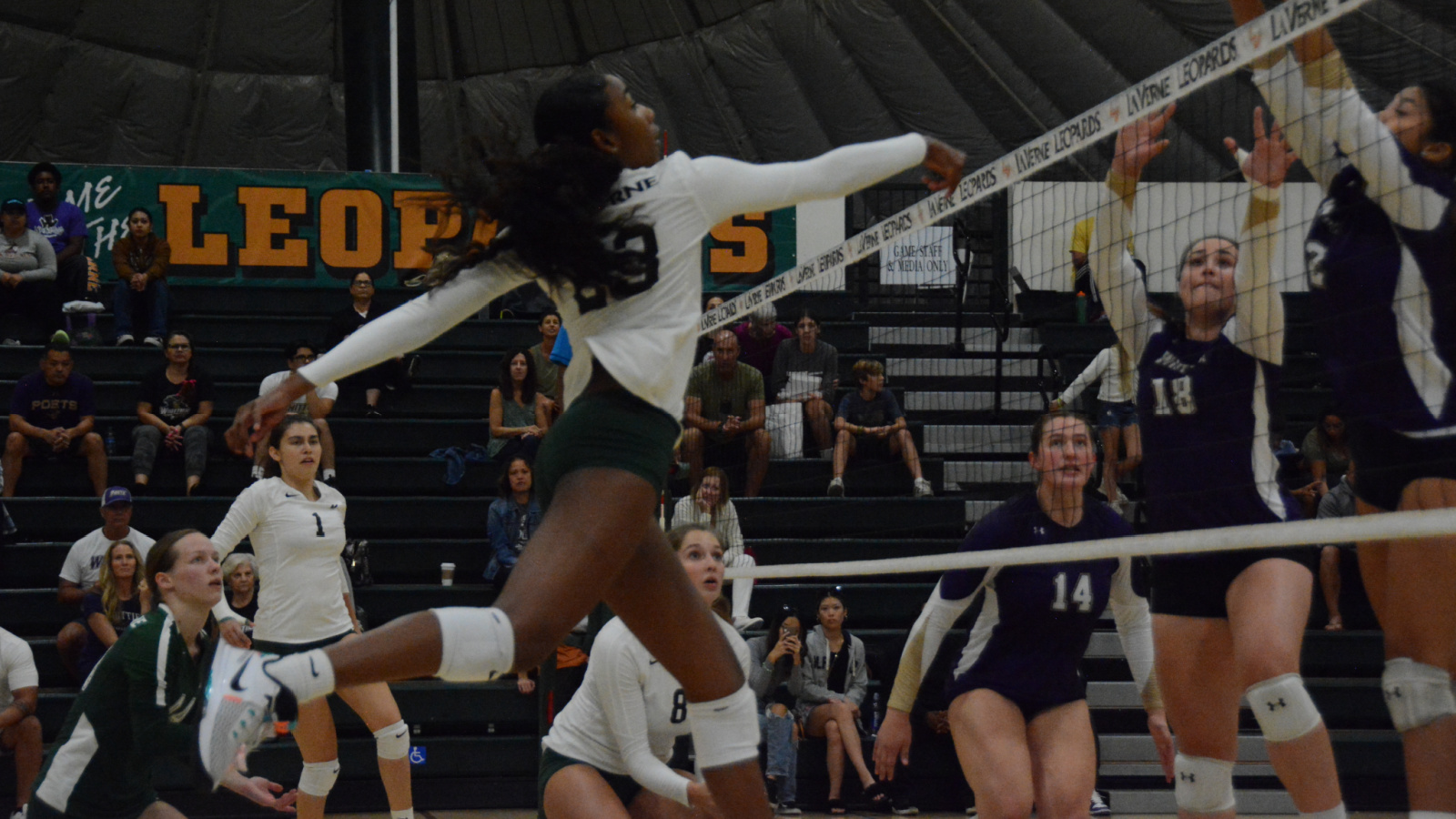 Mya Ray Named To The AVCA All West Region Team And West Region Freshman Of The Year