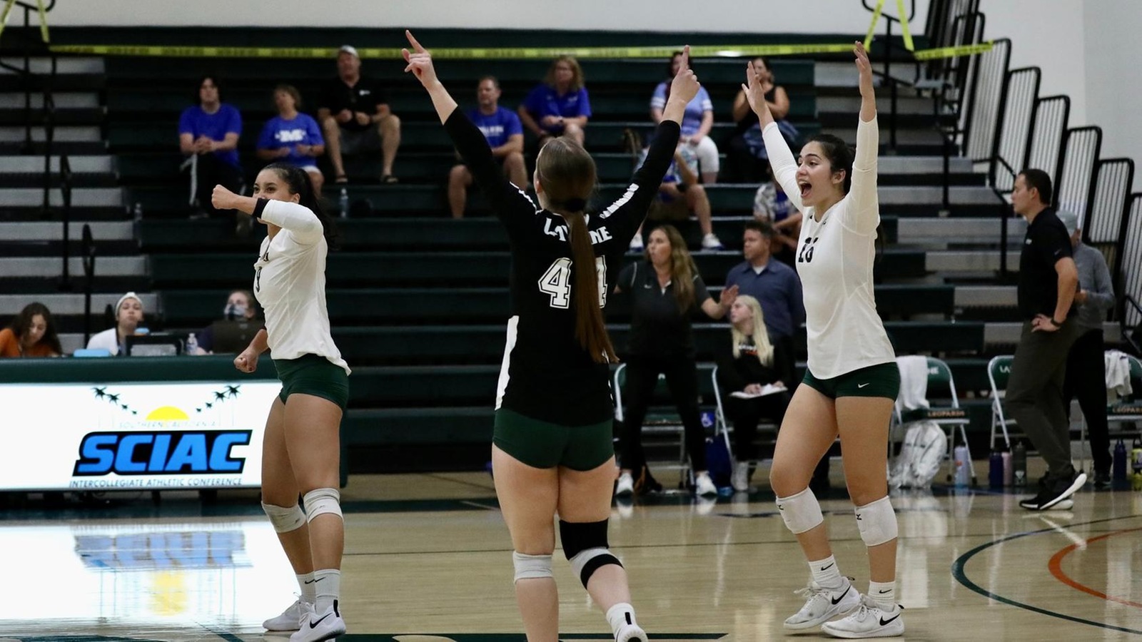 Volleyball defeats St. Scholastica in 5